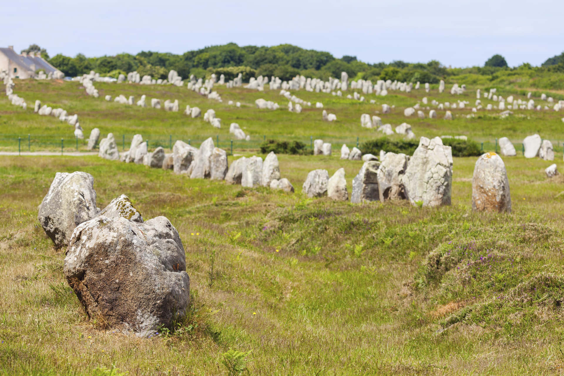 Carnac Stones Alignment In Brittany France Wallpaper