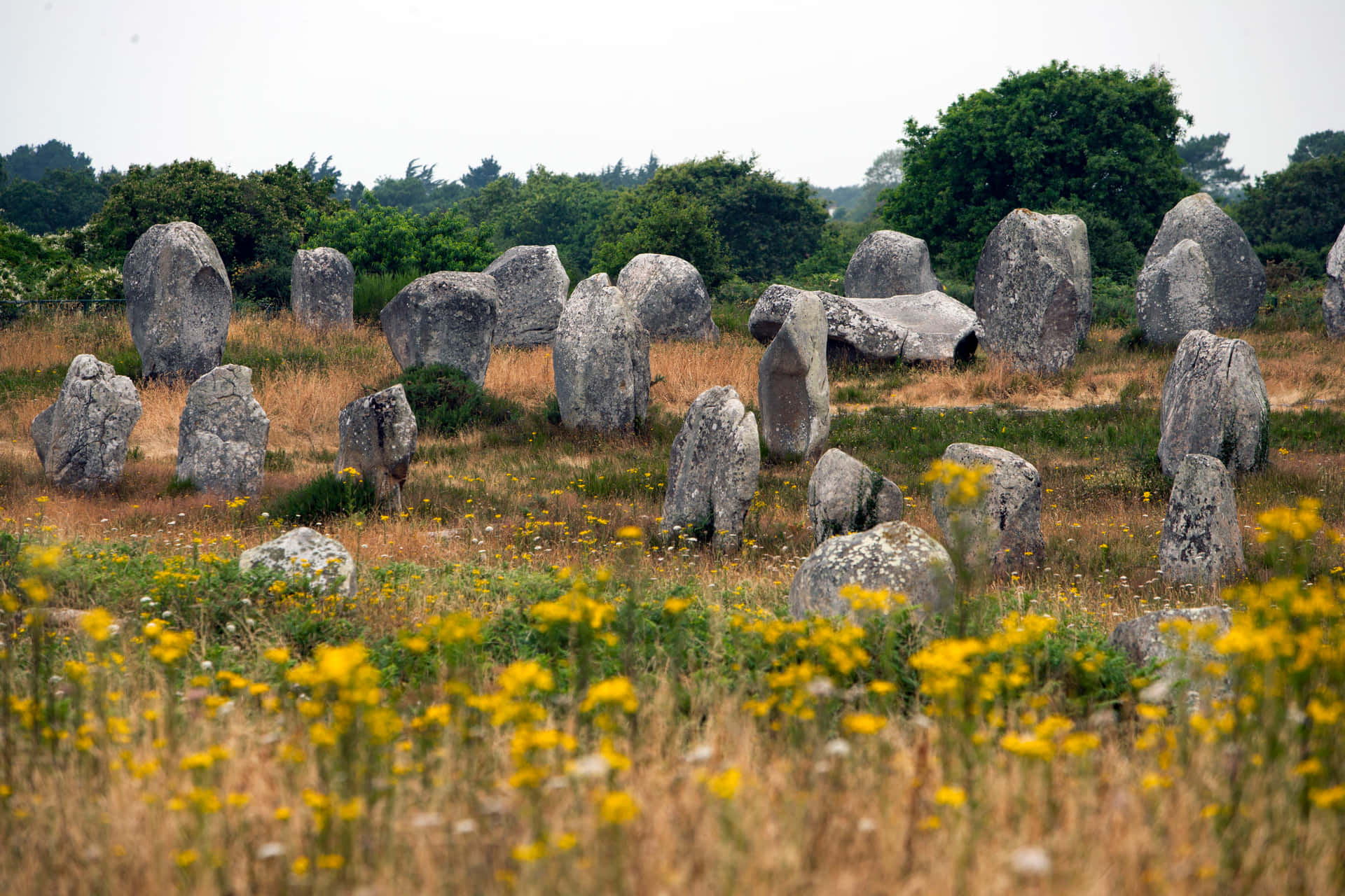 Carnac,las Antiguas Piedras Megalíticas De Atracción En Francia. Fondo de pantalla
