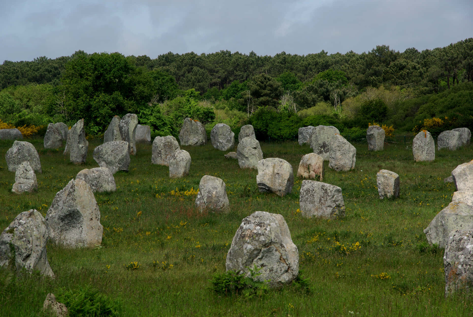 Carnacsteine,neolithische Menhire In Der Bretagne, Frankreich. Wallpaper