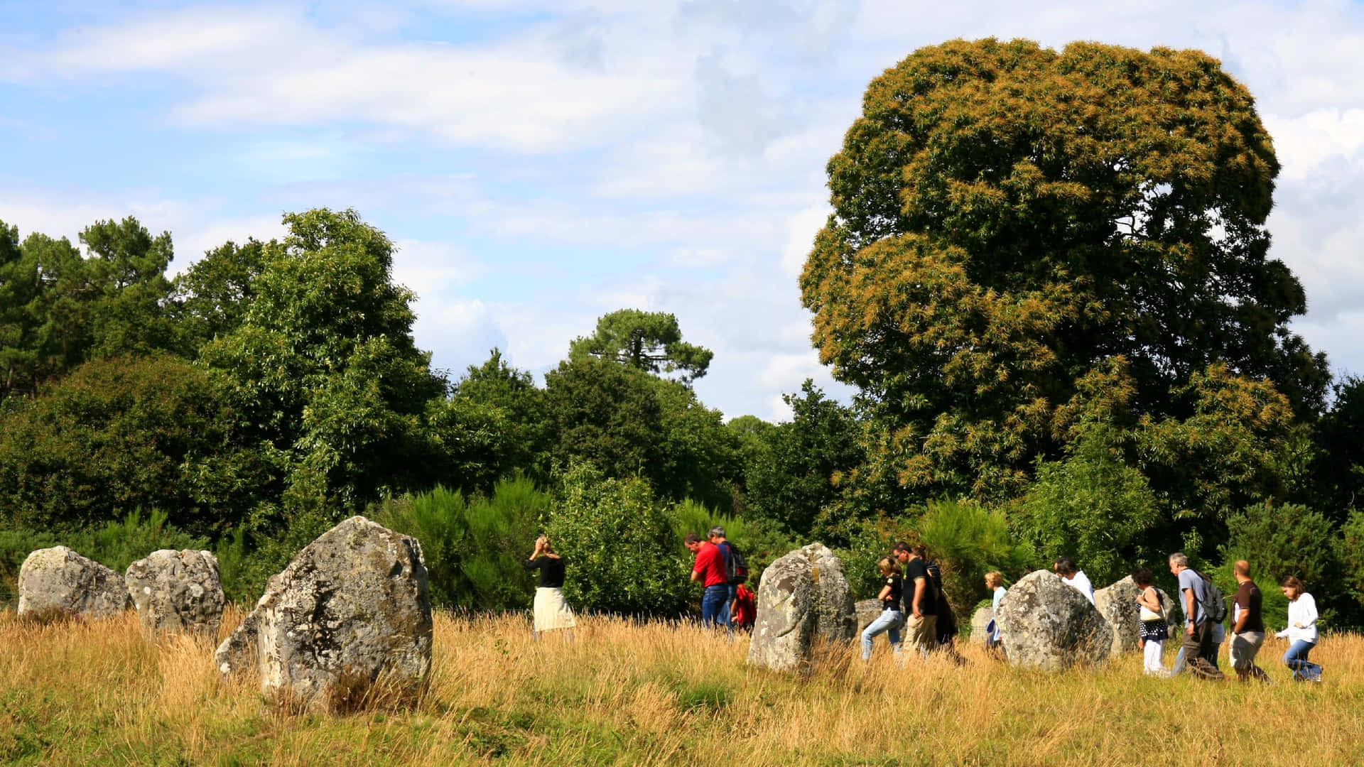 – Vis et bredt vinklet billede af Carnac-stenene besøgt af turister. Wallpaper
