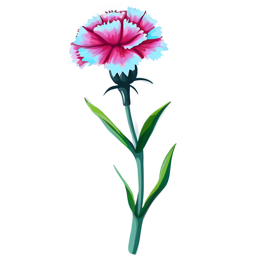 Carnation Flower Drawing Png 05252024 PNG