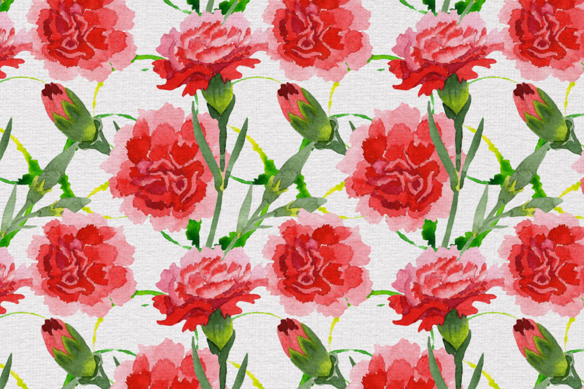 Carnations Akvarel Maleri Wallpaper