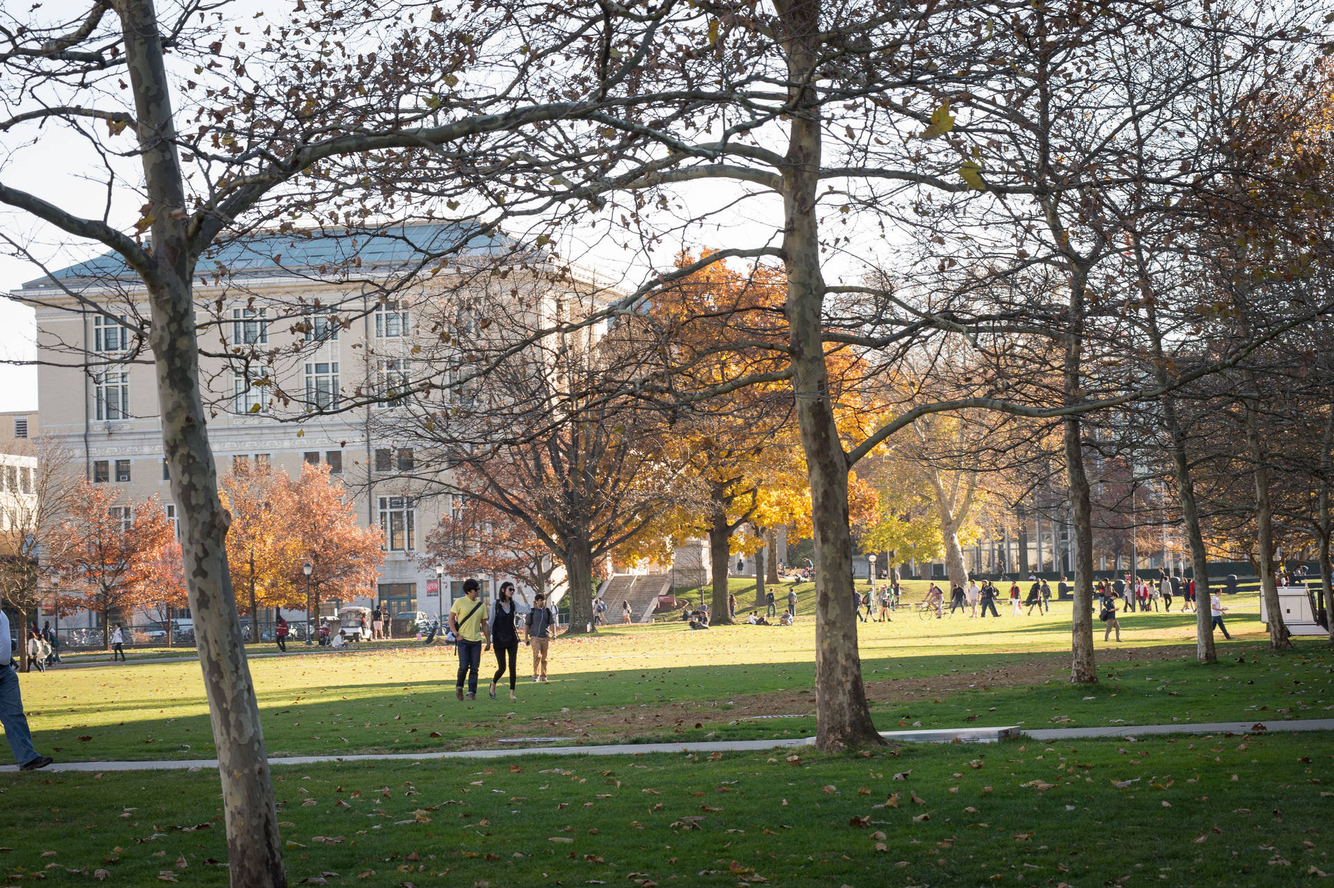 Carnegie Mellon University Field With Trees Wallpaper