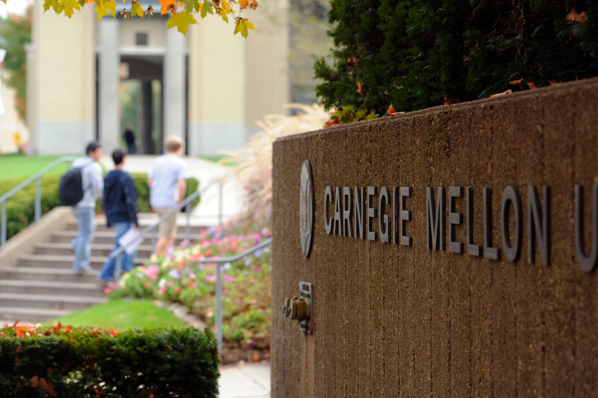 Carnegie Mellon University Signatur Tapet: En smuk visning af Carnegie Mellon Universitys logo. Wallpaper