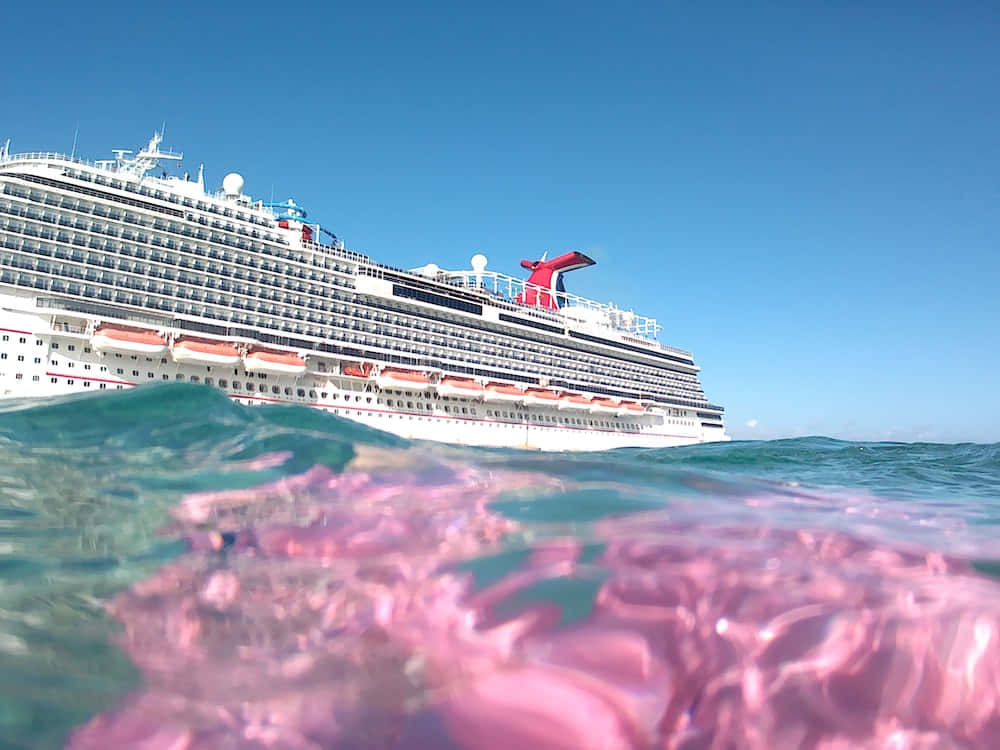 Majestic View Of The Carnival Conquest Cruise Ship