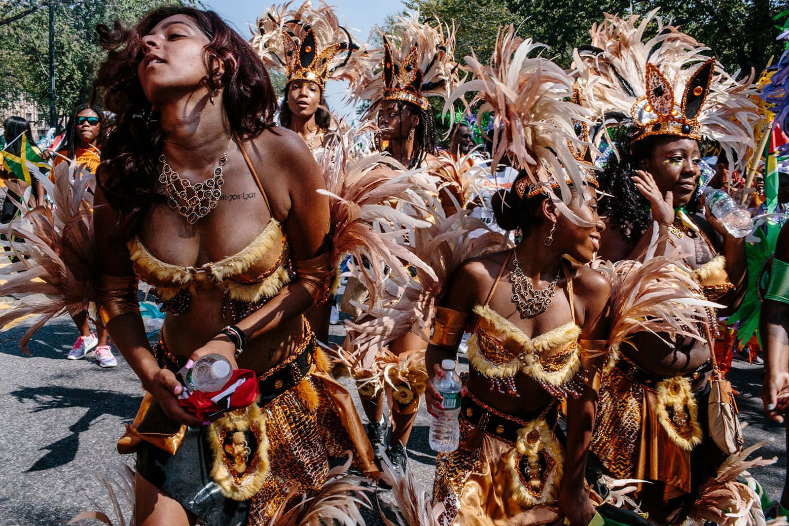 Kvinnori Fjäderdräkter På Karnevalsbilder