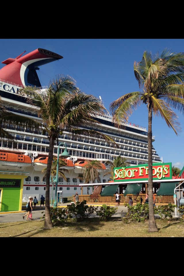 Cruise the seven seas with Carnival Vista