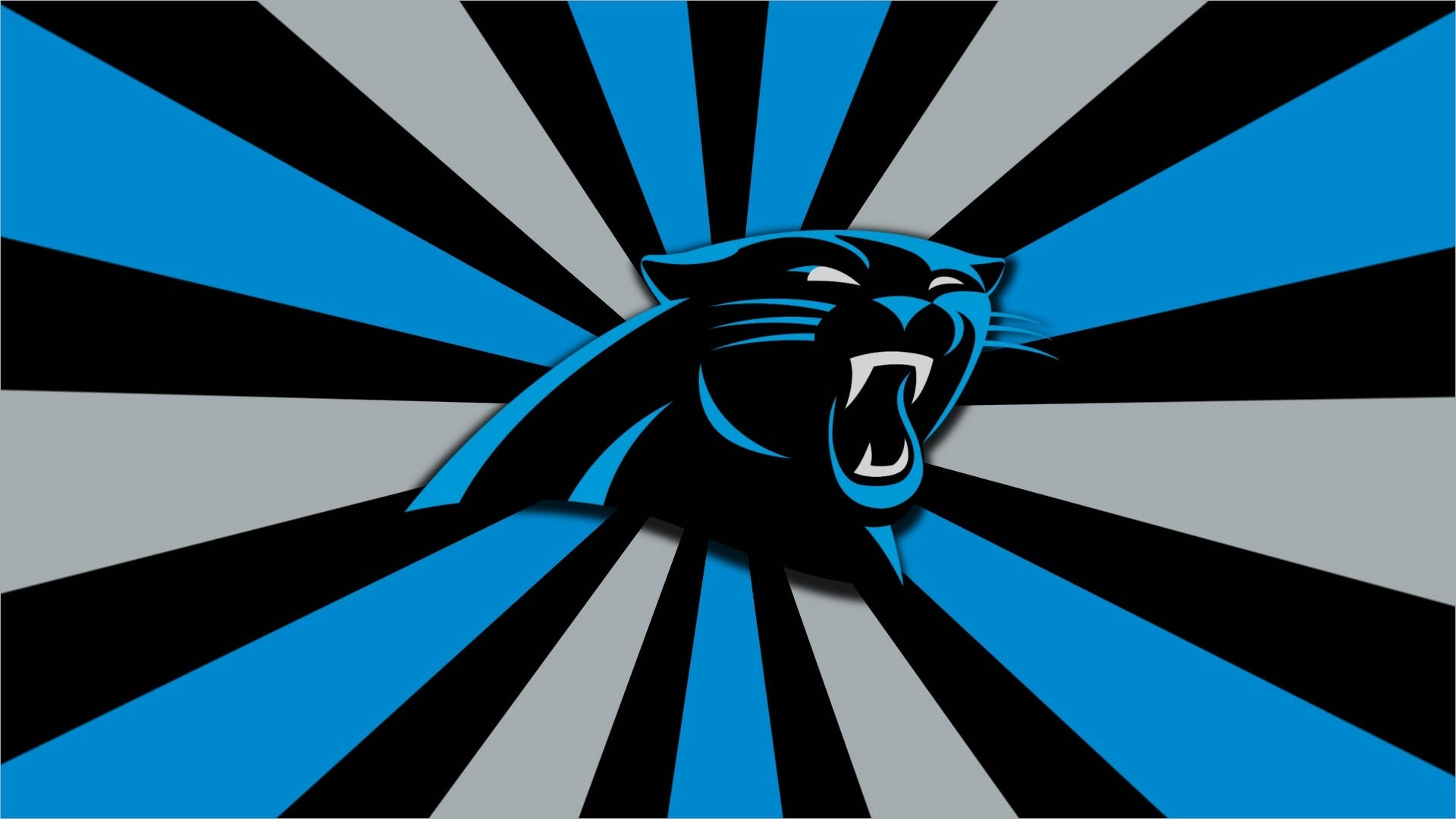 Carolina Panthers Blue, Black, White Wallpaper