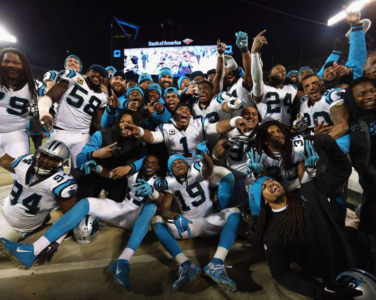 Carolina Panthers Celebrating Wallpaper