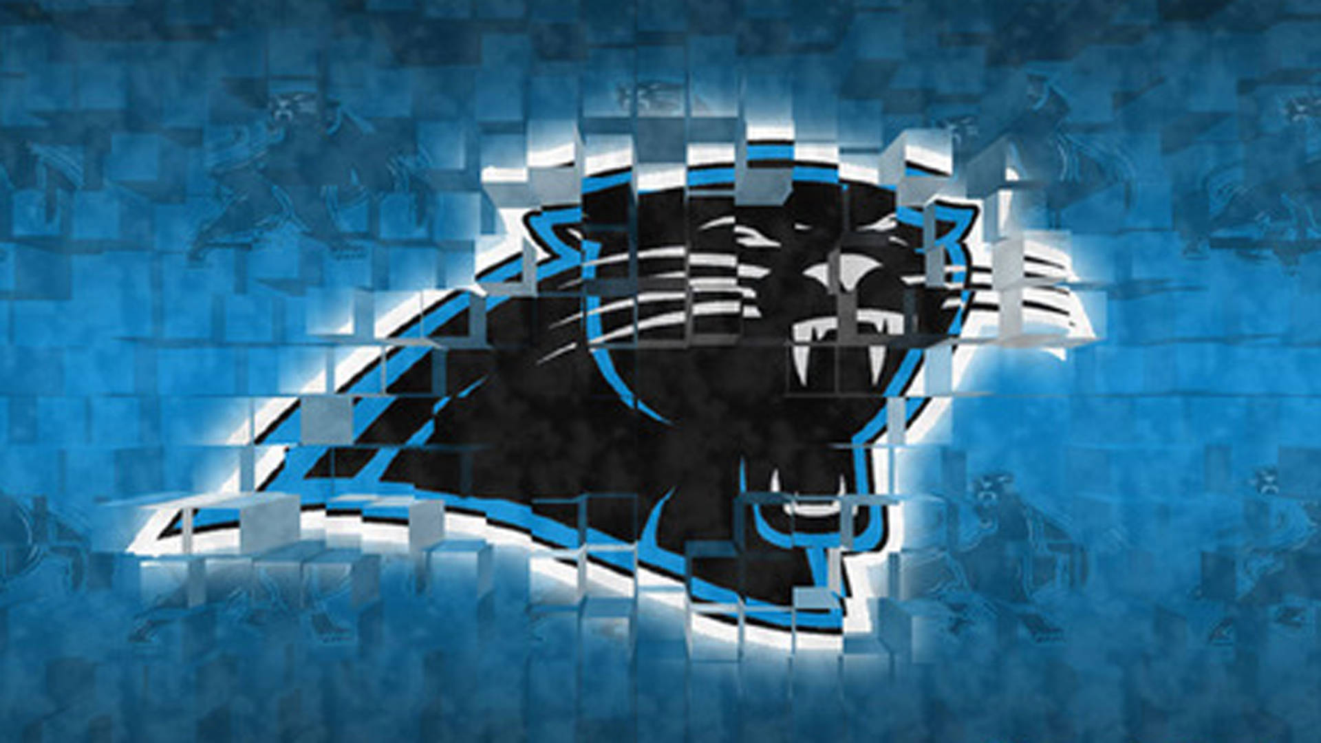 Carolina Panthers Cubes Wallpaper