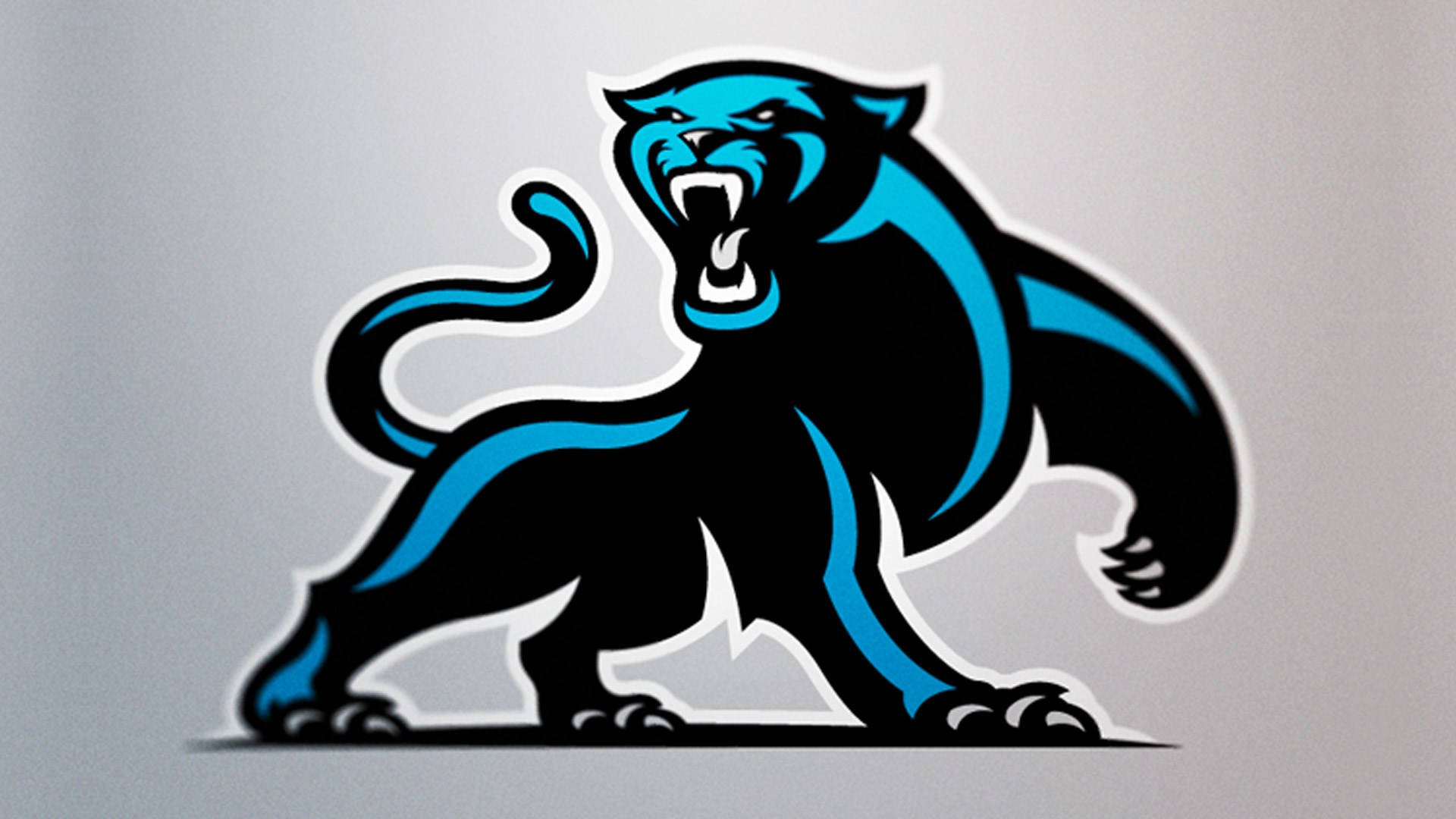 Carolina Panthers Full Logo Wallpaper