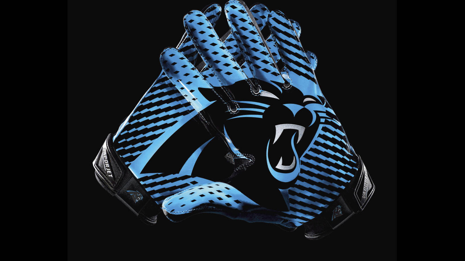 Carolina Panthers Gloves Wallpaper