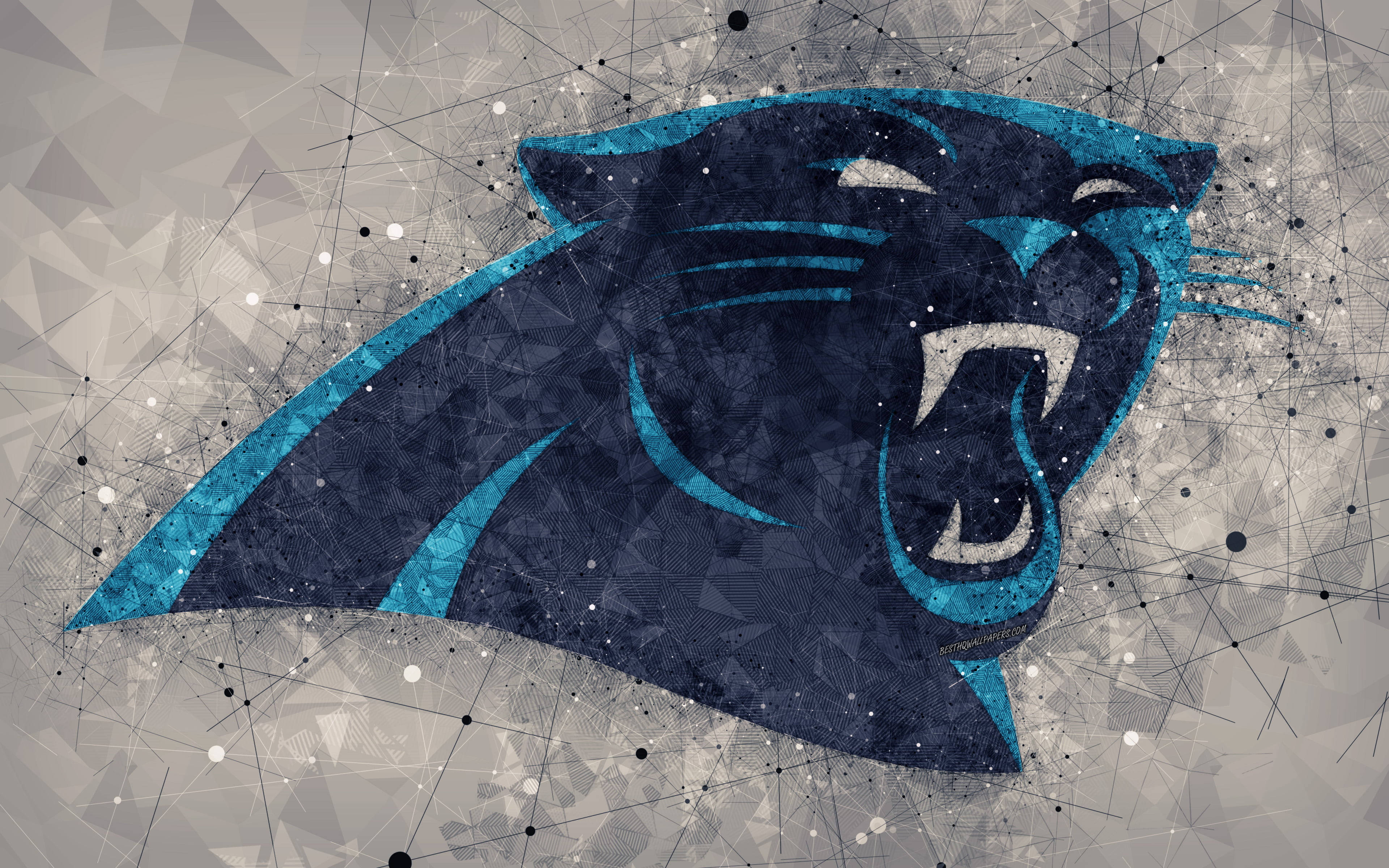 Carolina Panthers Logo Polygon Surface Picture