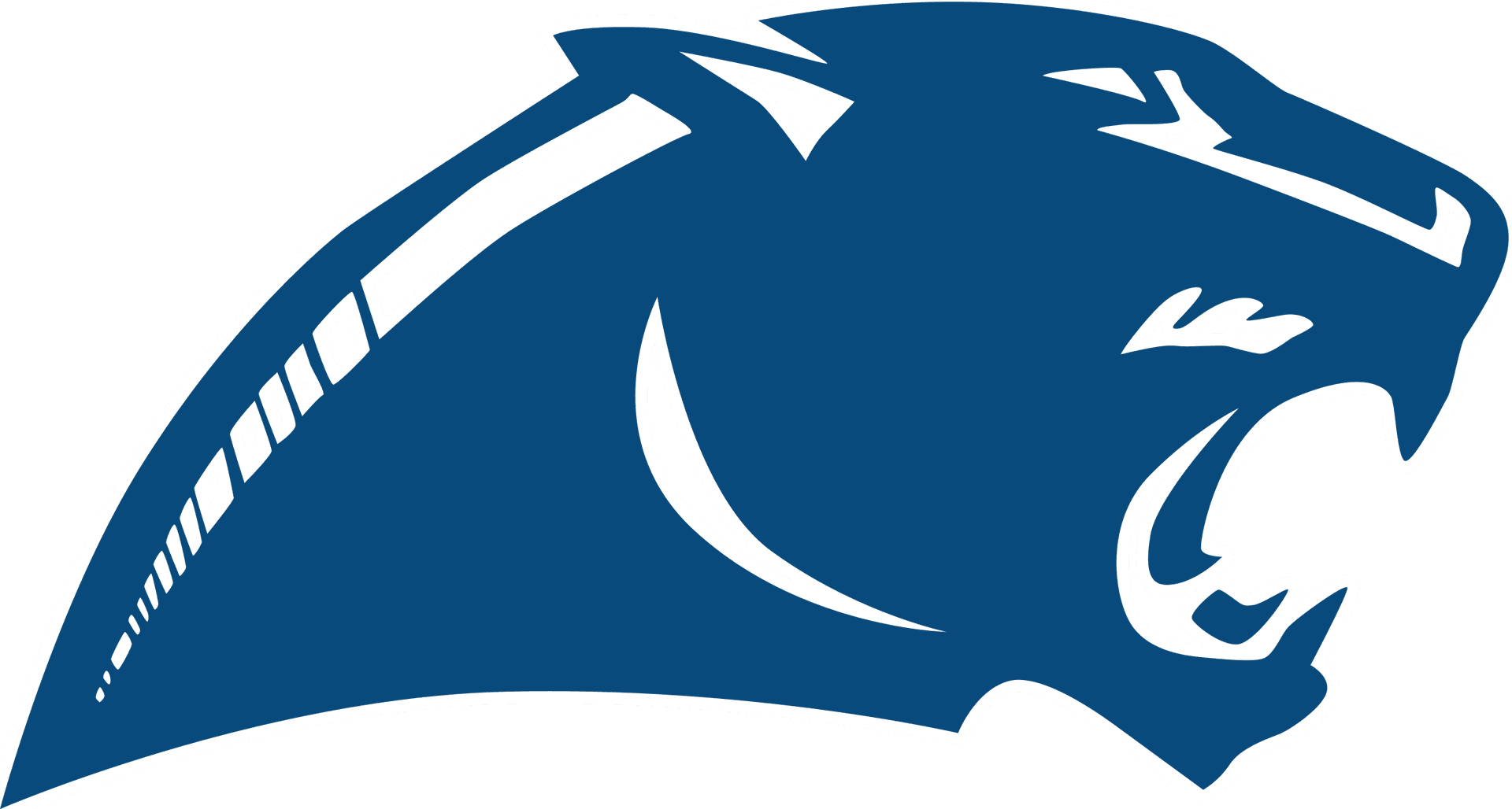 Carolina Panthers Logo Profile PNG
