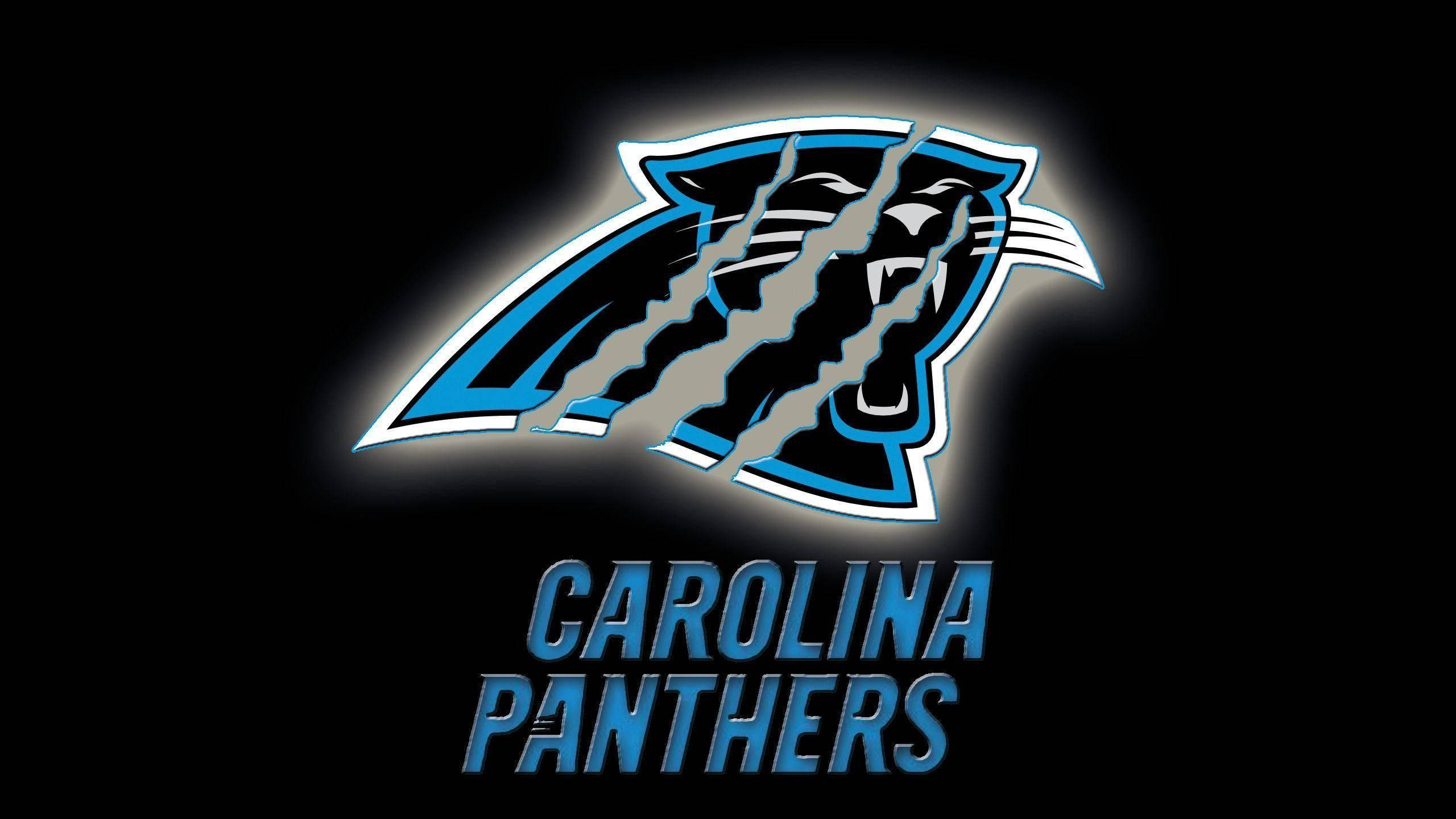 Logotipode Los Carolina Panthers Con Una Lágrima. Fondo de pantalla