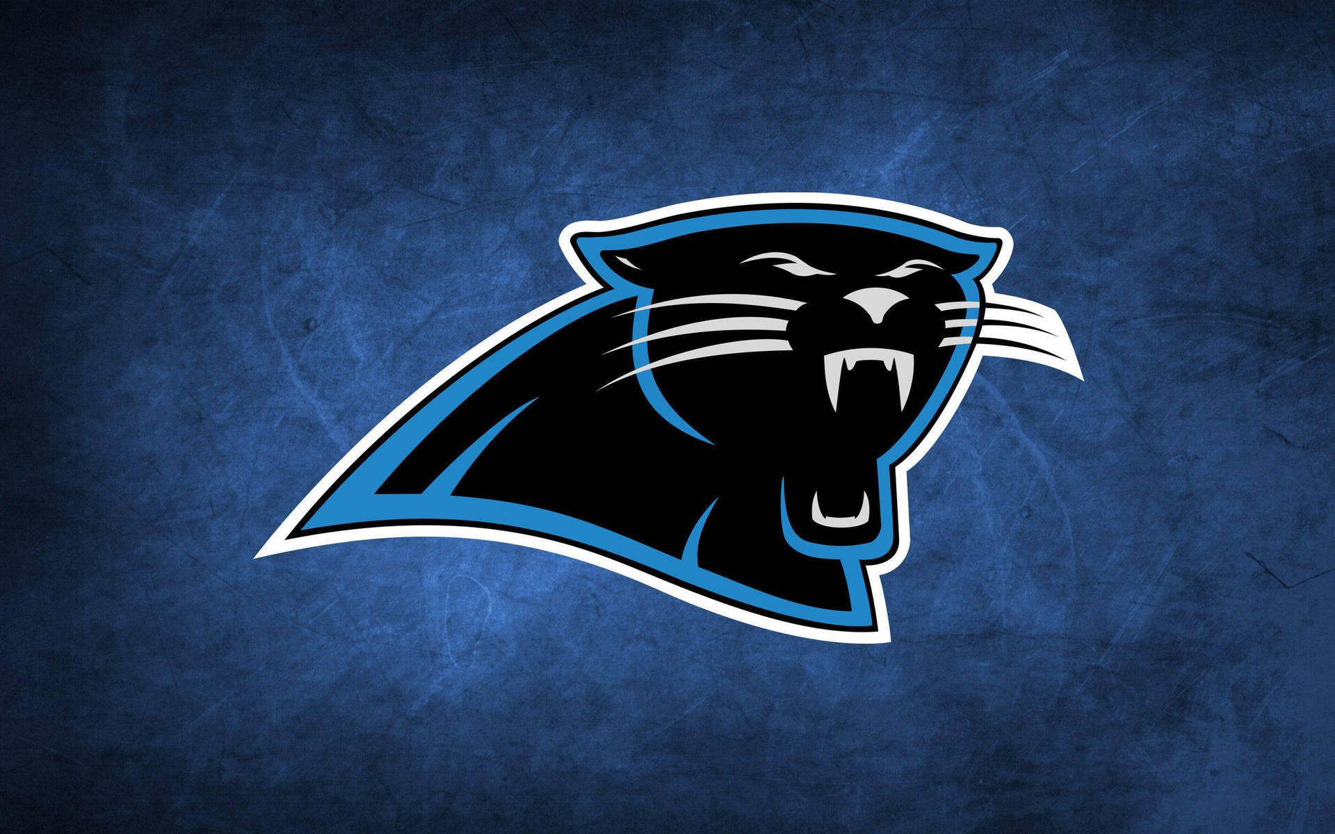 Carolina Panthers NFL Team Logo Wallpaper