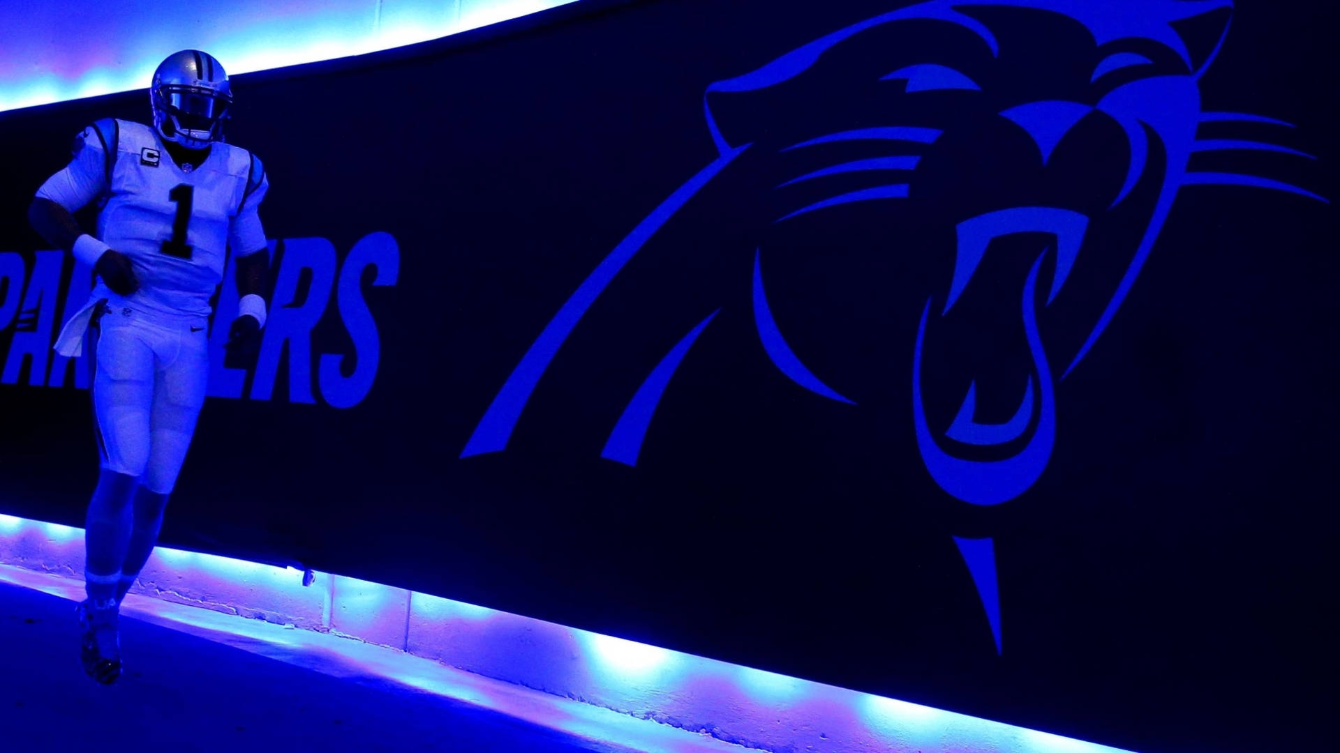 Carolina Panthers On Blue Light Wallpaper