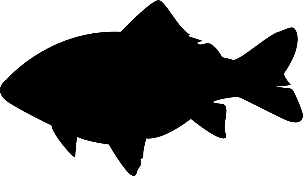 Carp Silhouette Graphic PNG