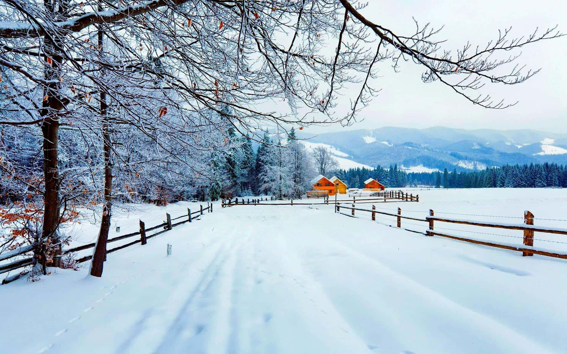 Carpathian Mountains Countryside In Snow Wallpaper