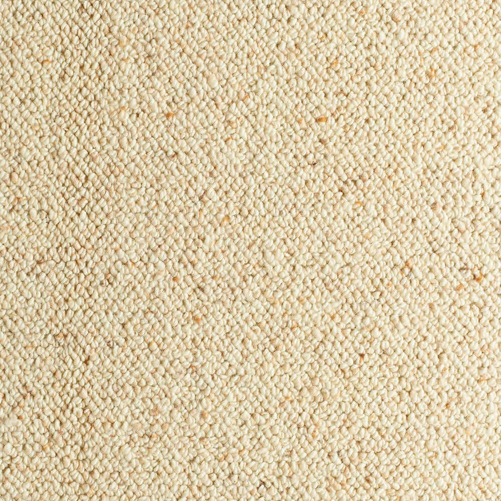 A Macro Shot of a Richly-Textured Carpet