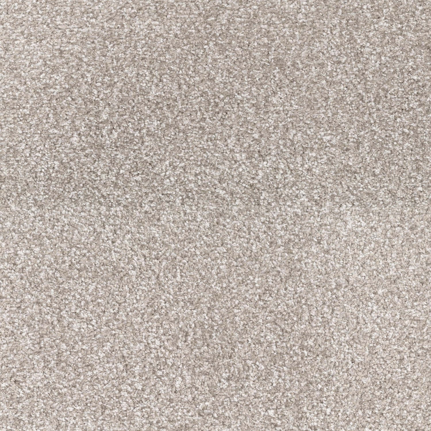 Soft and Inviting Carpet Texture