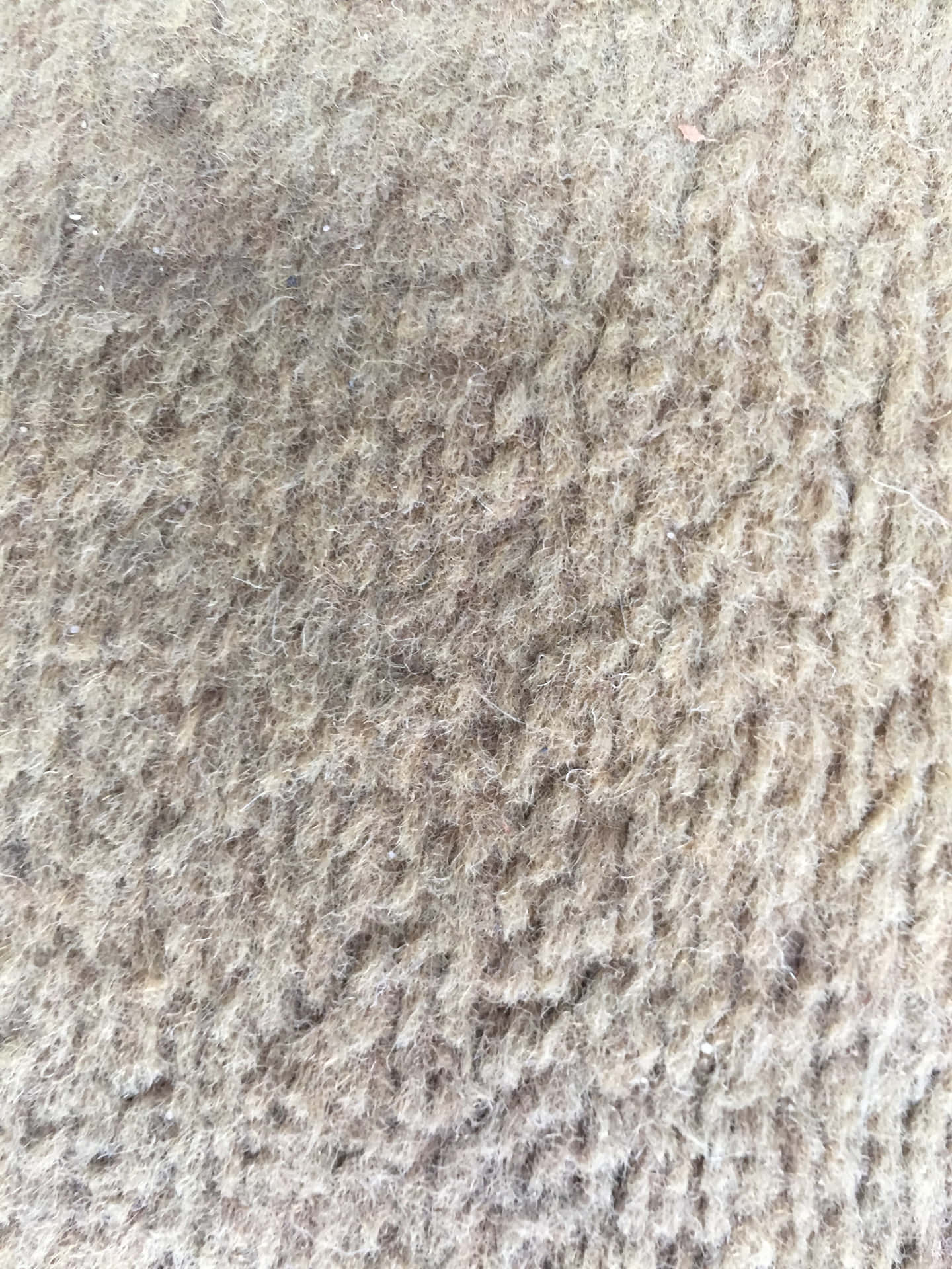 Luxurious brown carpeting with a unique textured pattern