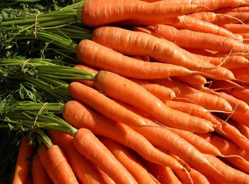 A Bunch Of Carrots Are Piled Up On A Table
