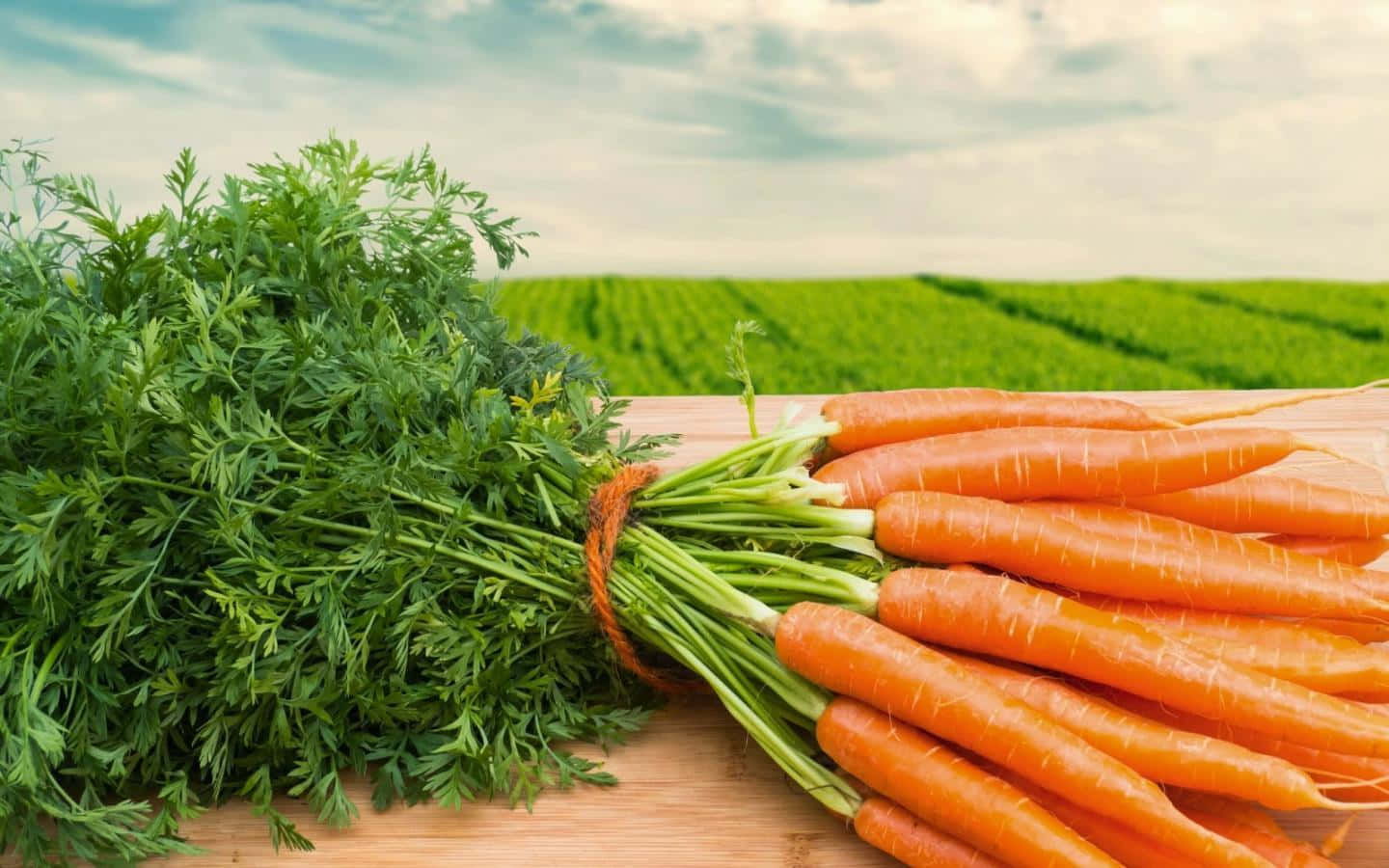 Fresh, juicy carrots straight from the farm!