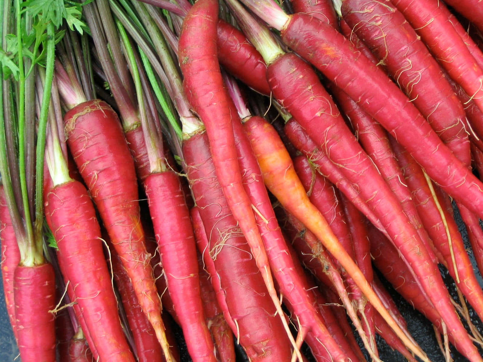 A Bunch Of Carrots On A Table