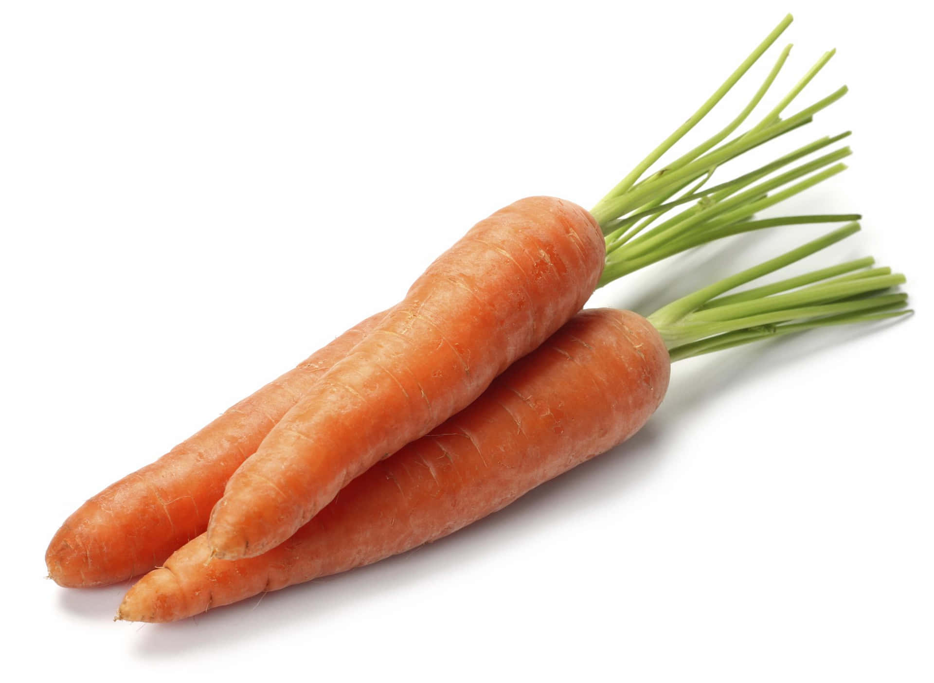 Two Carrots On A White Background