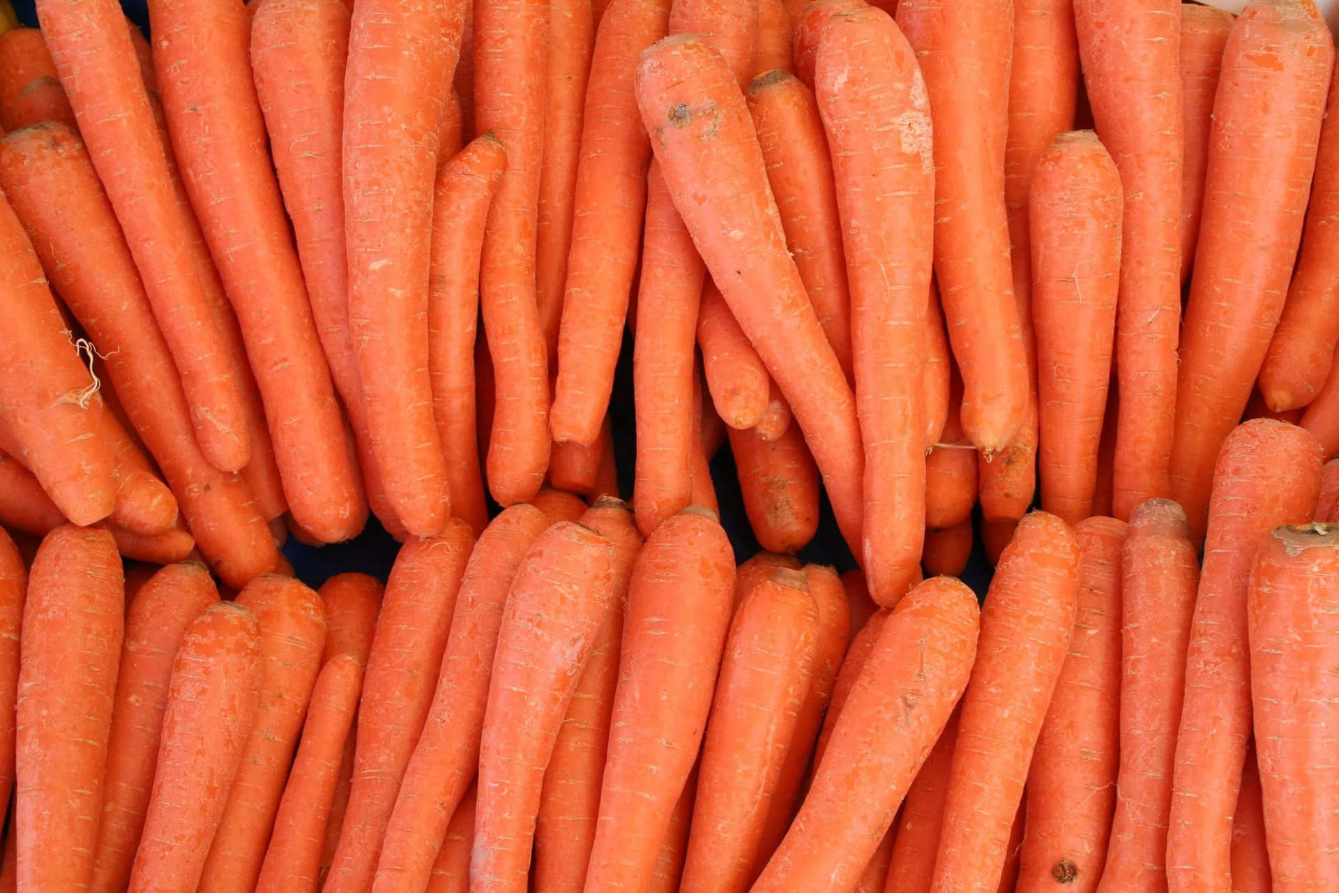 A Bunch Of Carrots