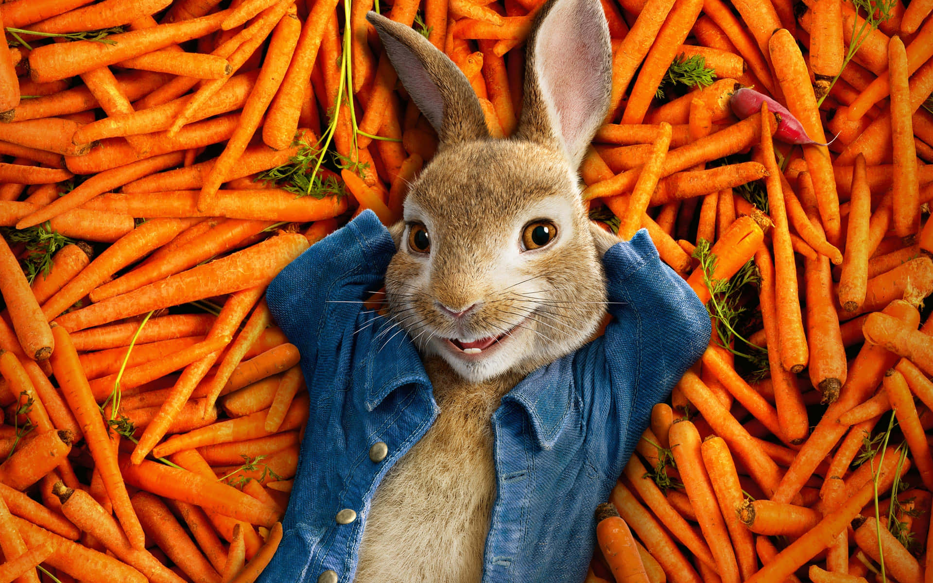 Peter Rabbit In A Pile Of Carrots