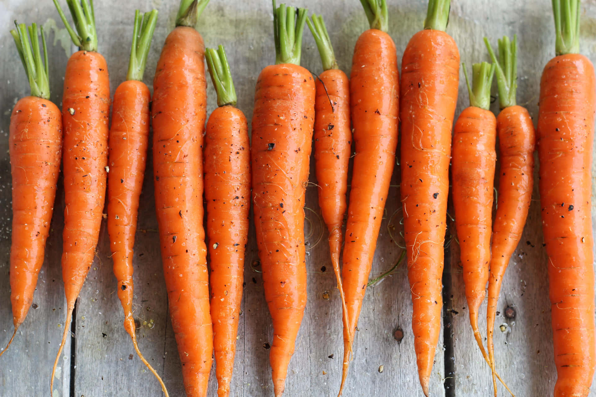 "Freshly picked carrots bursting with nutrition"