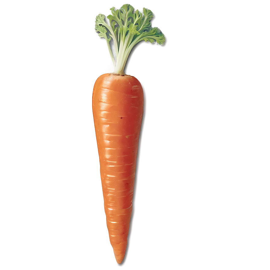 Carrot Garnish Png Yyy PNG