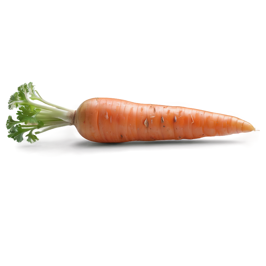 Carrot Isolated Png 05242024 PNG