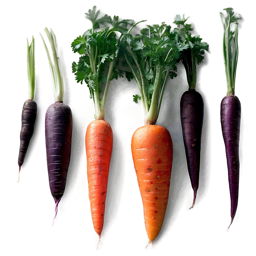 Carrot Julienne Png 6 PNG