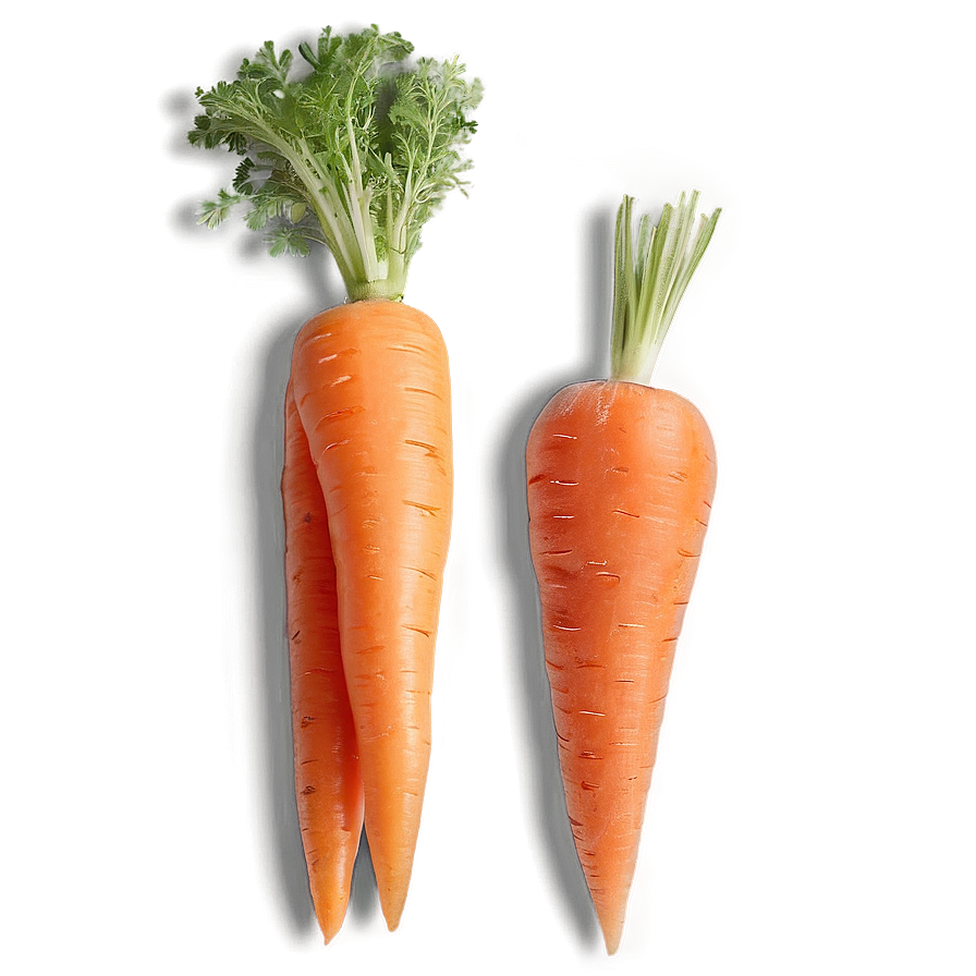 Carrot With Face Png Gdl82 PNG