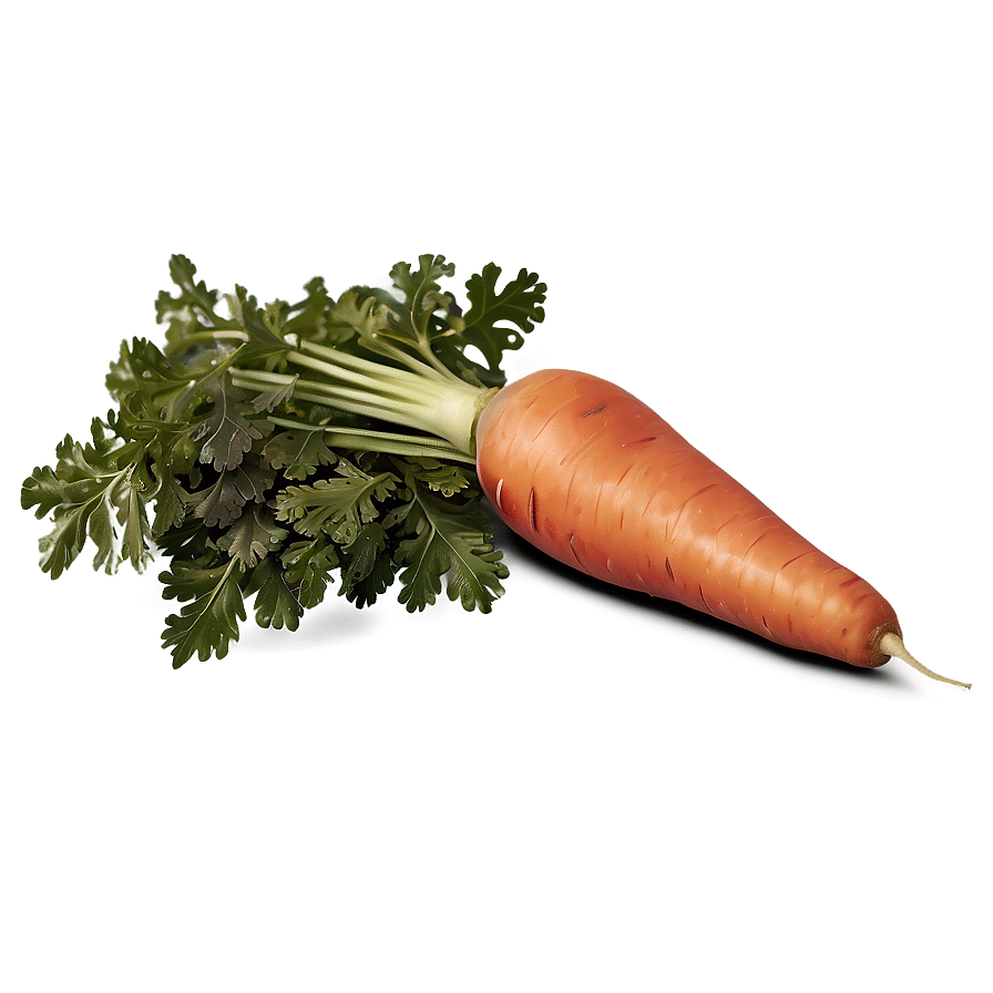 Carrot With Leaves Png 51 PNG