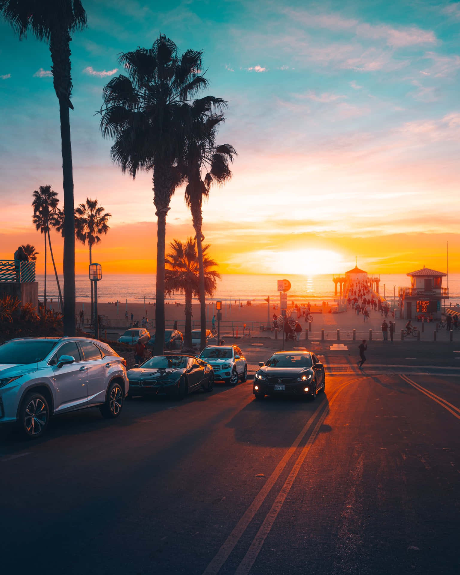 Cars Sunset With Palm Tree Wallpaper