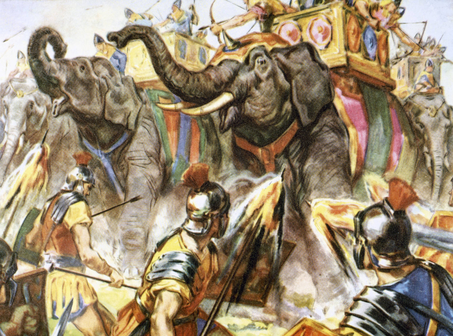 Carthage Soldiers Elephants Wallpaper