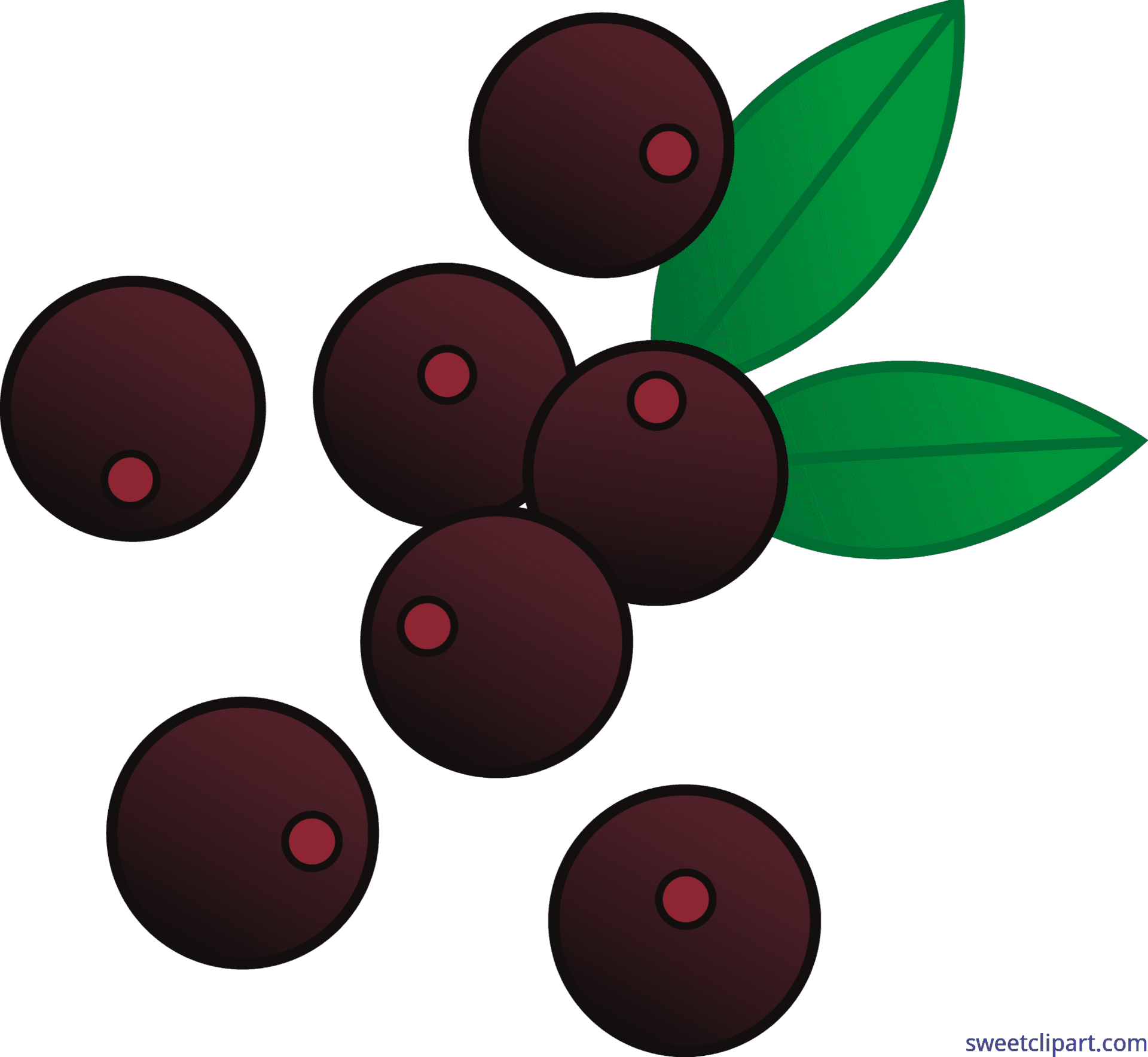 Cartoon Acai Berries Illustration PNG