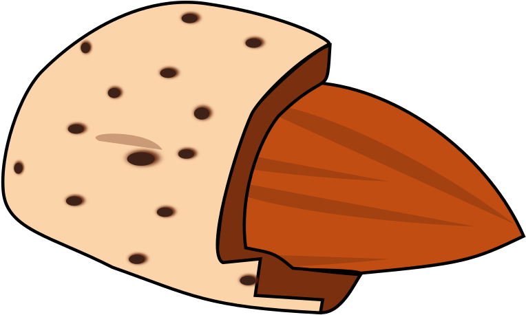 Cartoon Almond Half Shell PNG