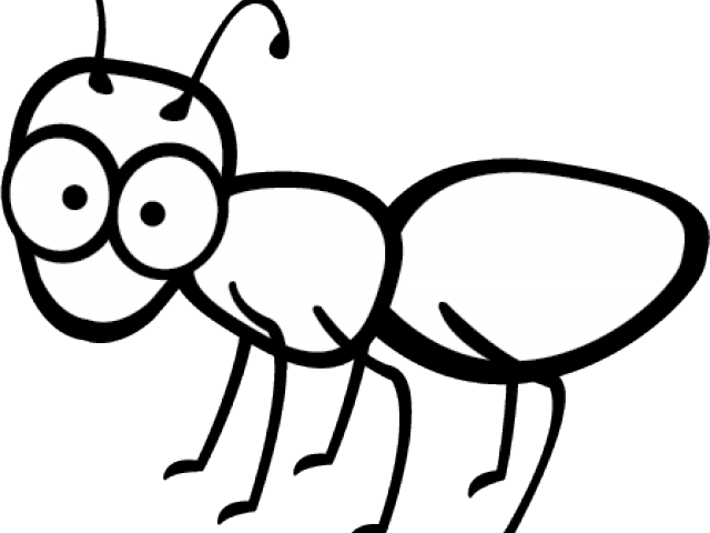 Cartoon Ant Illustration PNG