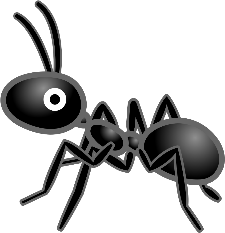 Cartoon Ant Illustration PNG