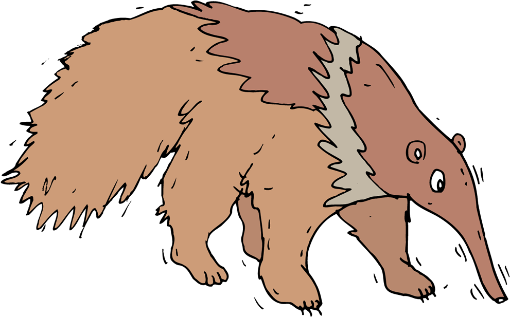 Cartoon Anteater Illustration.png PNG