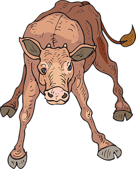 Cartoon Baby Calf Illustration PNG