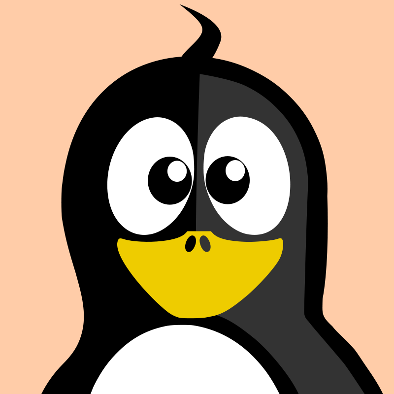 Cartoon Baby Penguin Portrait PNG