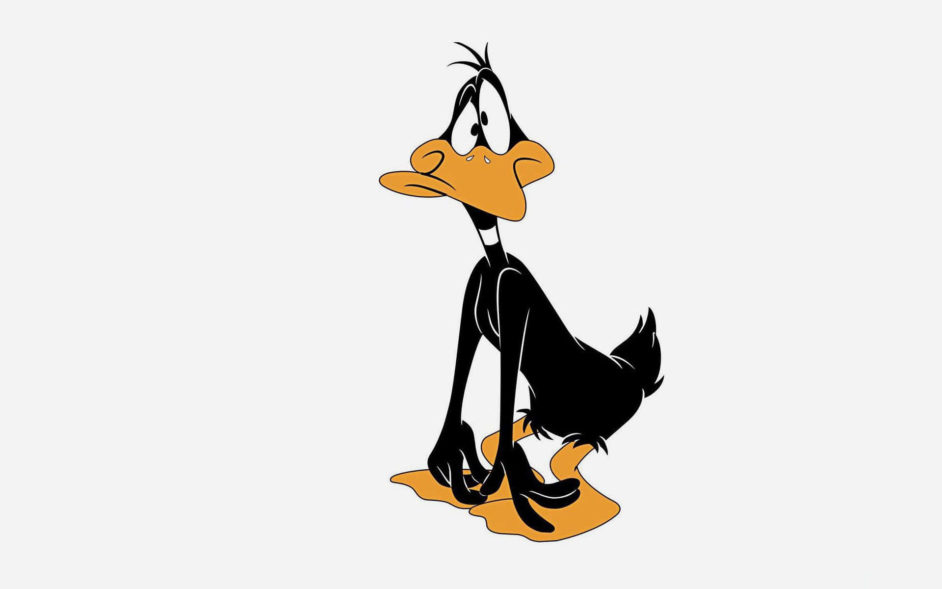 Simpel Looney Tunes Cartoon Tegneserie Karakter Daffy Duck Baggrund