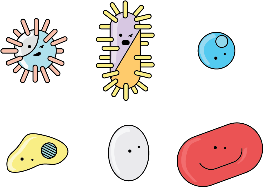 Cartoon Bacteria Characters PNG