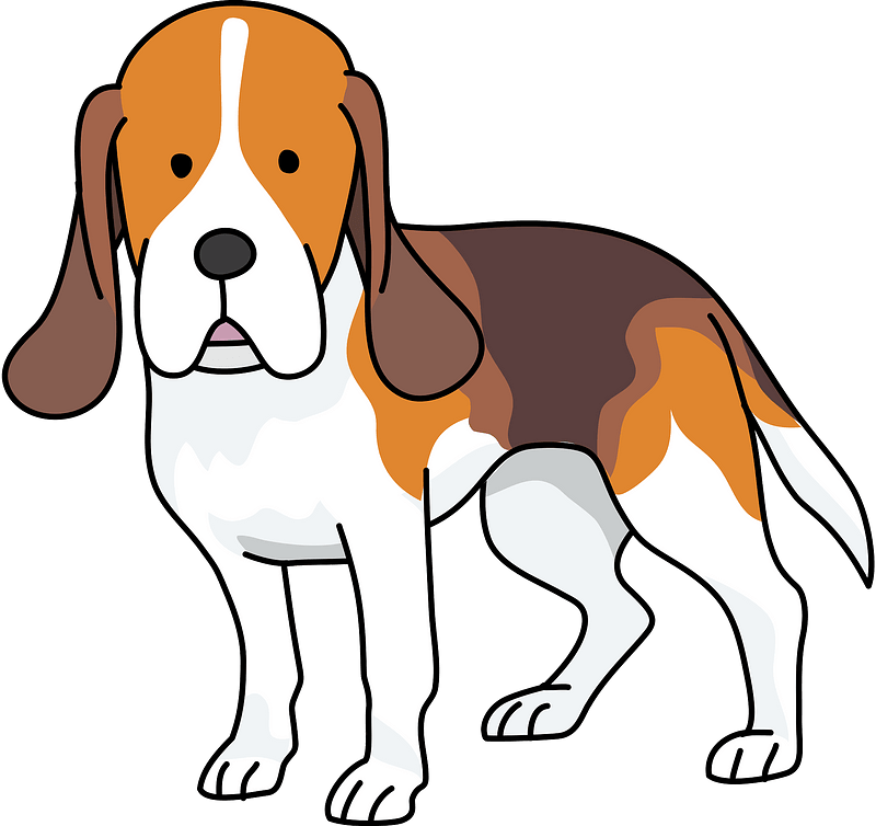 Cartoon Beagle Standing PNG
